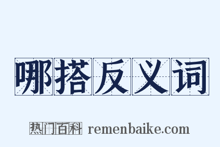 哪搭反义词是什么意思的图片